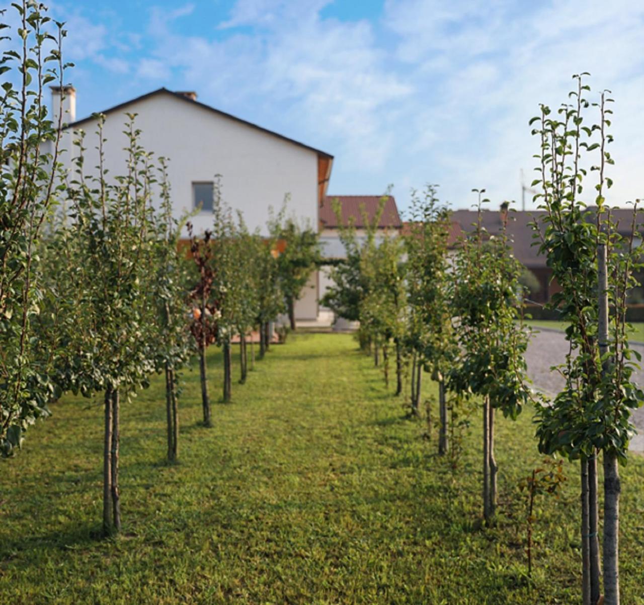 Agriturismo Corte Foscara Malcontenta Buitenkant foto